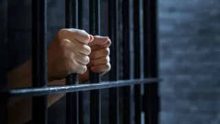 /VIDEO/ Pisică aruncată de la etaj și omor la masa de pomenire: Sentință pentru o femeie din Chișinău