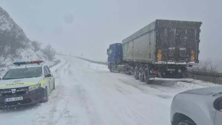 poliția zăpadă 