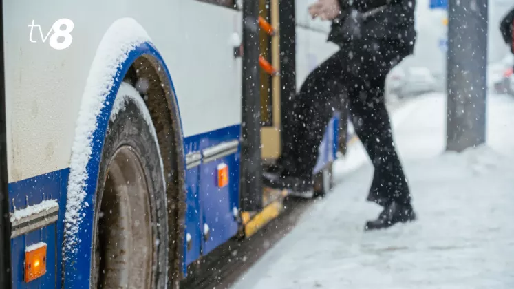 TROLEIBUZ METEO ZAPADA IARNA VISCOL NINSOARE-69