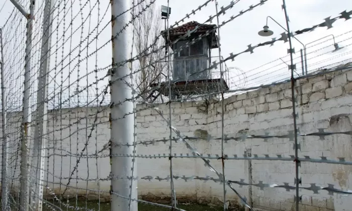 un-de-inut-de-la-penitenciarul-pruncul-a-evadat-1000x600-1