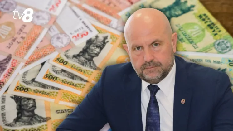 vladimir bolea bani
