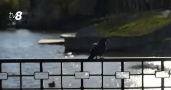 Весна пришла. Прогноз погоды на сегодня, 2 марта