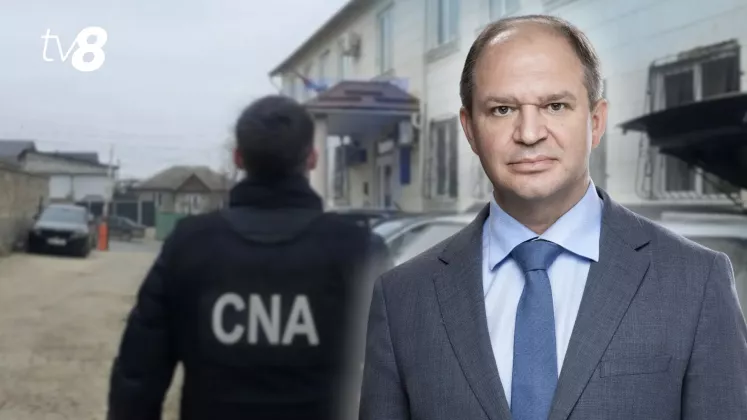 cristi (27)
