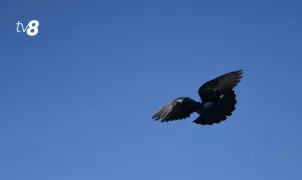 Почти без изменений. Прогноз погоды на сегодня, 12 марта