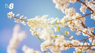 Солнечное начало недели. Прогноз погоды на сегодня, 9 марта