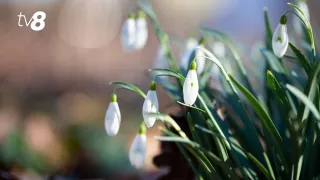 /METEO/ Cum va fi vremea azi, 7 martie 2026: Vântul suflă slab, iar soarele apare de după nori