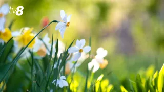  Тепло и солнечно. Прогноз погоды на сегодня, 13 марта