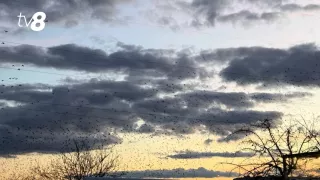 Немного прохлады. Прогноз погоды на сегодня, 20 марта