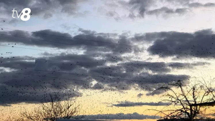 meteo cer (3)