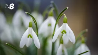 /METEO/ Cum va fi vremea azi, 10 martie 2026: Zi cu cer senin și fără precipitații. Care vor fi temperaturile maxime