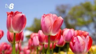 Солнечный день. Прогноз погоды на сегодня, 25 марта