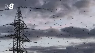 Небольшие дожди. Прогноз погоды на сегодня, 22 марта