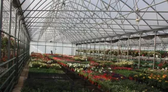 Малые предприниматели из сел Молдовы могут получить кредиты до 2 млн леев на развитие бизнеса