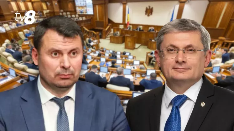 cristi (61)