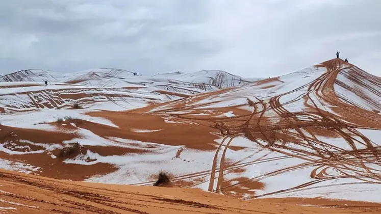 sahara