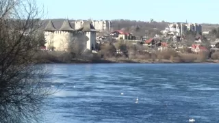 /VIDEO/ Nordul Moldovei ar putea rămâne fără apă: Cod galben în regiunea Naslavcea, după scurgerile de petrol în Nistru