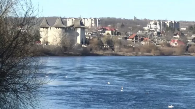 Nistru poluare