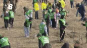 /VIDEO/ Natura nu are hotare: În această primăvară vor fi plantate peste 3.000 de hectare