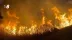 incendiu de vegetatie