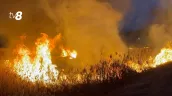 Incendiu de vegetație la Merenești: Un bărbat a fost găsit mort în flăcări