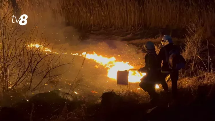 incendiu de vegetatie