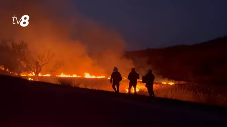 incendiu de vegetatie