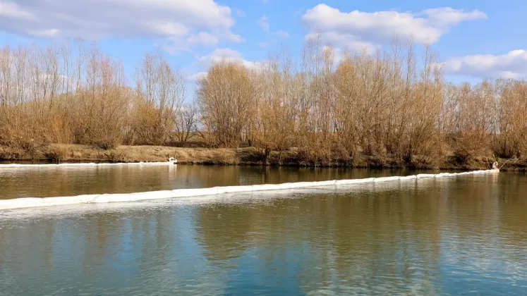 nistru
