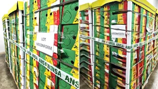 В Молдове уничтожили почти 9 тонн завозного болгарского перца: обнаружено превышение пестицидов