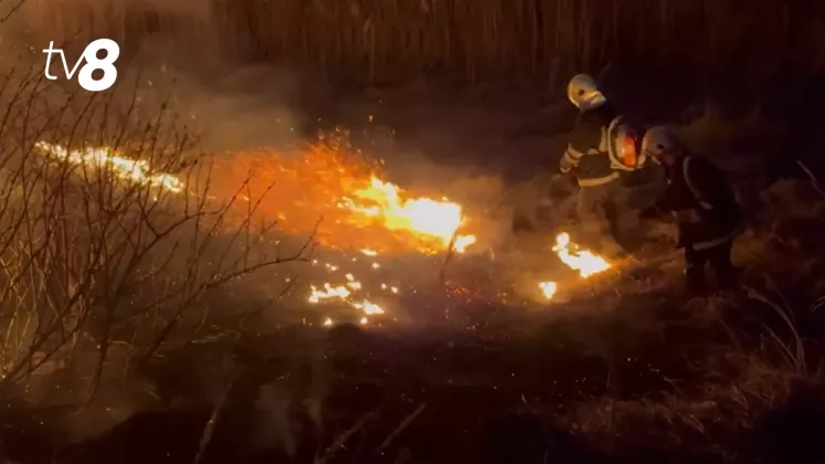 INCENDIU VEGETATIE3