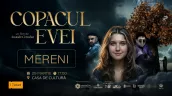 /VIDEO/ Filmul „Copacul Evei” ajunge la Mereni: Când va fi proiectat primul fantasy din Moldova