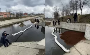 Специалисты продолжают поиск источника загрязнения реки Бык в Кишиневе 