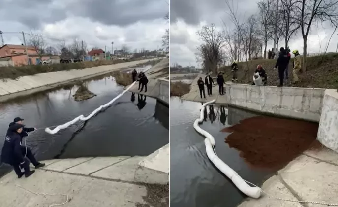 река бык загрязнение