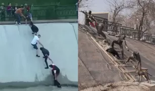 /ВИДЕО/ В Казахстане появился памятник в честь спасения тонущей собаки. История стала вирусной в сети