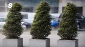 /HARTĂ/ Alertă de vânt puternic în toată Moldova: Perioada în care va fi valabil codul galben