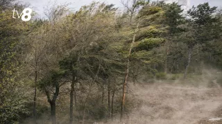 Облачная и ветреная суббота. Прогноз погоды на сегодня, 18 апреля