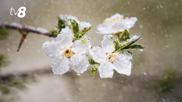 meteo primăvara lapoviță