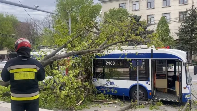 /VIDEO/ Pieton, la un pas de tragedie: Momentul în care o creangă a căzut peste un troleibuz în Chișinău