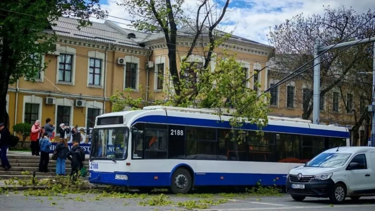 troleibuz (4)