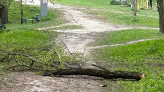 В Молдове из-за сильного ветра один человек погиб, травмы получили еще пятеро