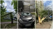 /ВИДЕО/ Сильный ветер в Молдове привел к падению деревьев и отключениям света: граждан призывают быть осторожнее