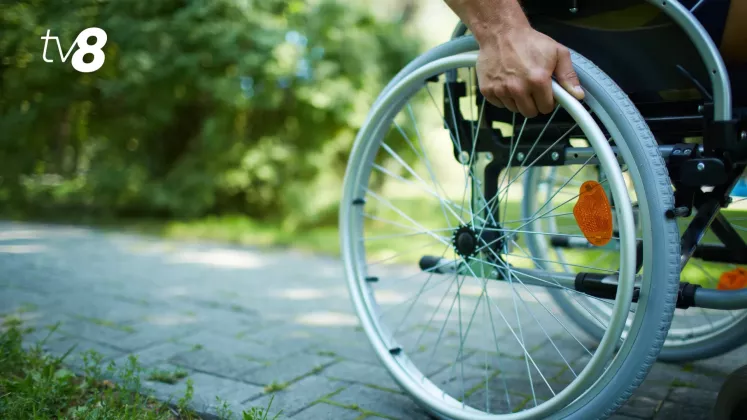 dizabilități