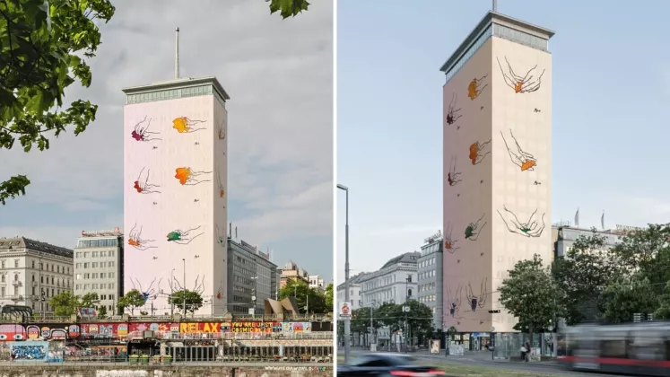 sarmale viena