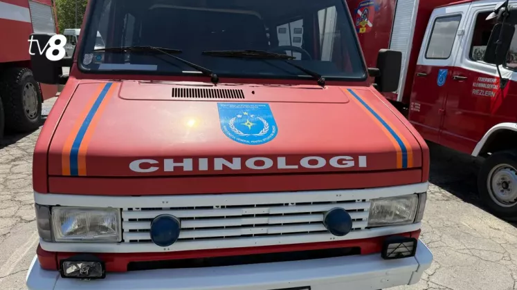 кинологи