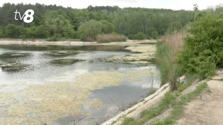 lac botanica