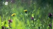 /METEO/ Vremea azi, 13 iunie 2026: Soarele reapare pe cer, dar unele regiuni nu scapă de ploi. Unde se așteaptă precipitații