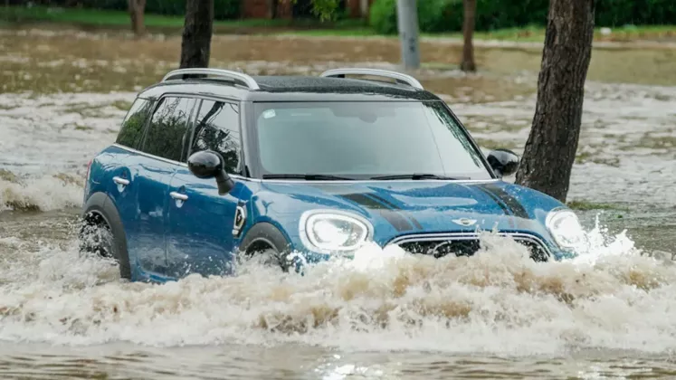 inundatie (5)
