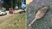 В Леова обнаружили старый боеприпас при строительстве дороги: на место вызвали саперов