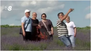 /ВИДЕО/ Лавандовый сезон в Молдове: поле в Колонице становится популярным местом отдыха