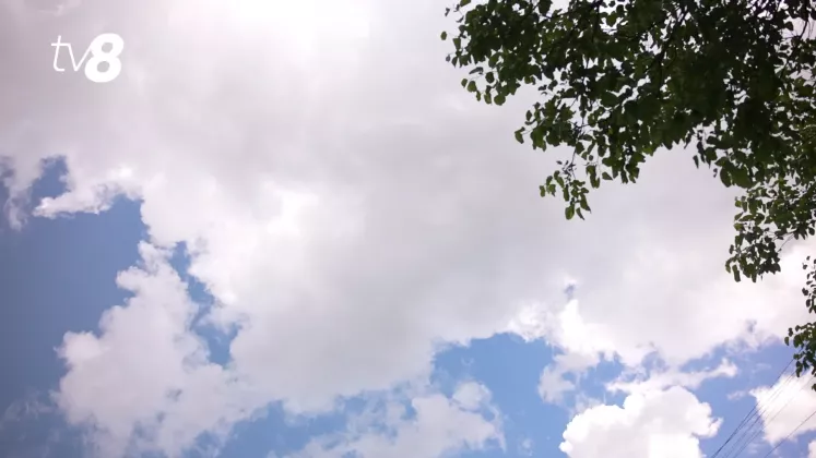 meteo
