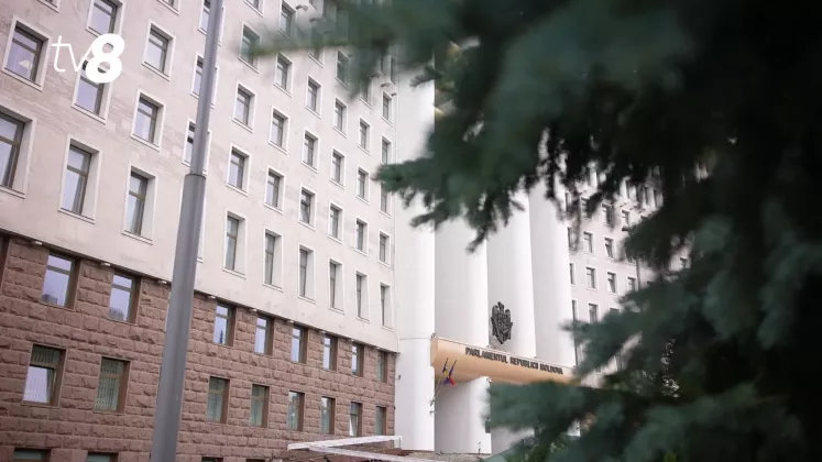 parlament 8